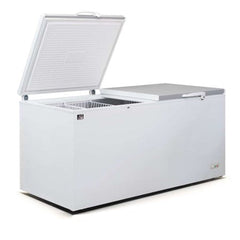AG Equipment BD900S Chest Freezer