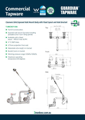 3Monkeez T-3MCSKIT-E08 - Cleaners Sink Exposed Wall Mount Body with Fixed Spout & Wall Bracket